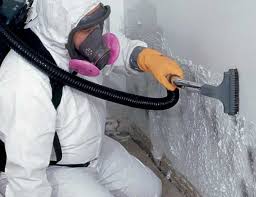 Best Crawl Space Mold Remediation  in Umatilla, FL